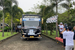 mudik